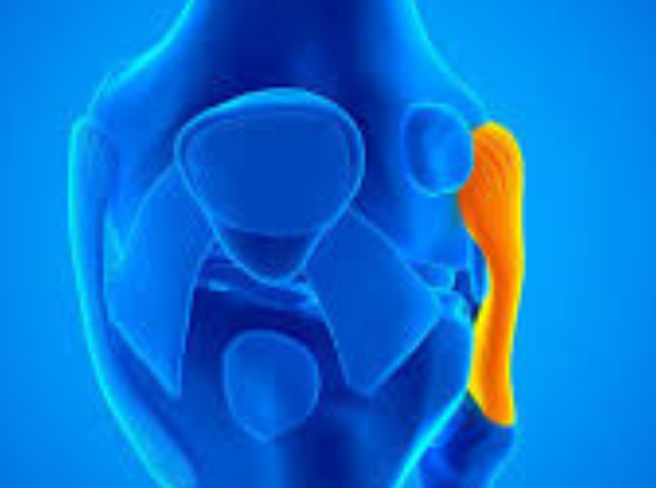 Lateral Collateral Ligament (LCL) Injury